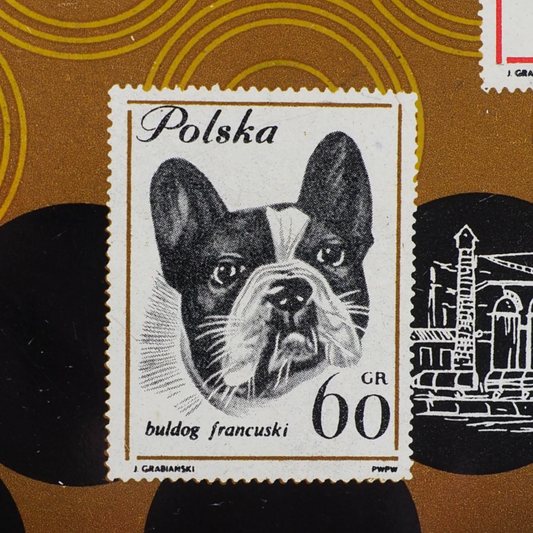Portret buldoga francuskiego w formie znaczka na tacy litografowanej z PRL-u