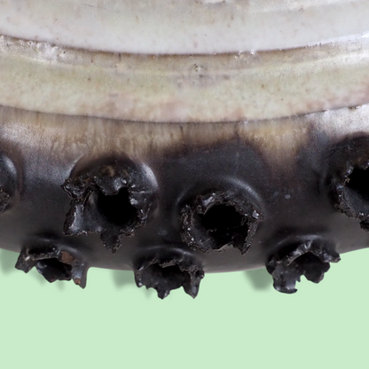 Zbliżenie dolnej krawędzi duńskiego klosza ceramicznego z brązowymi detalami