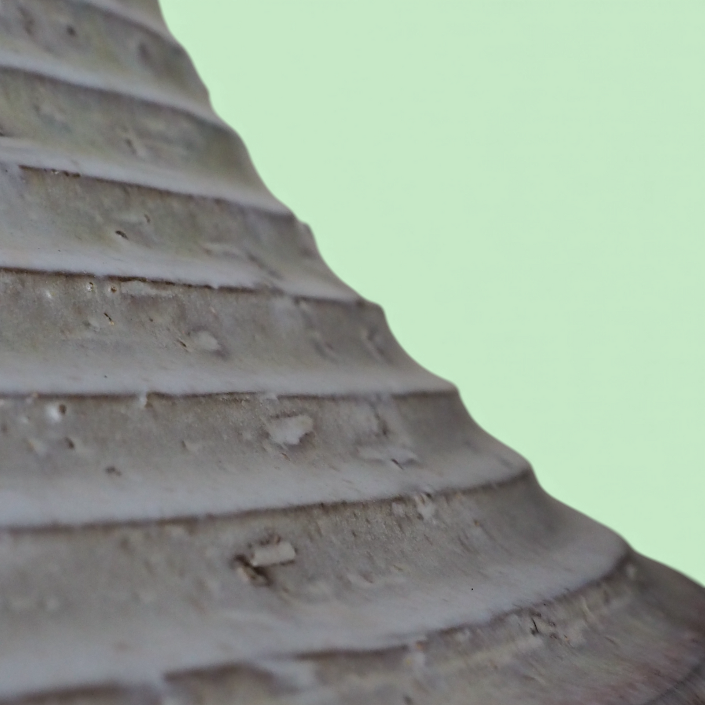 Zbliżenie żebrowanej tekstury ceramicznego klosza z Danii, detal szkliwa