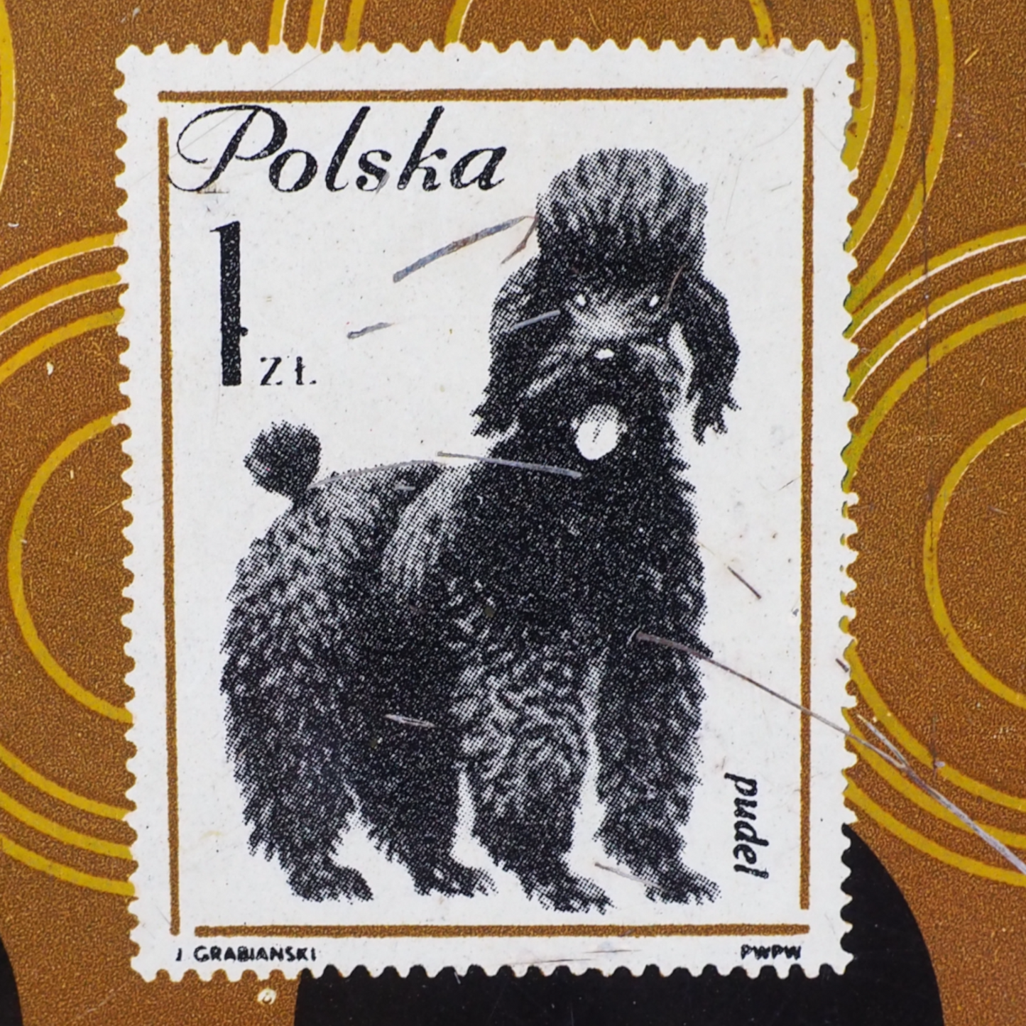 Pies rasy pudel na tacy z grafiką, FOB Sosnowiec