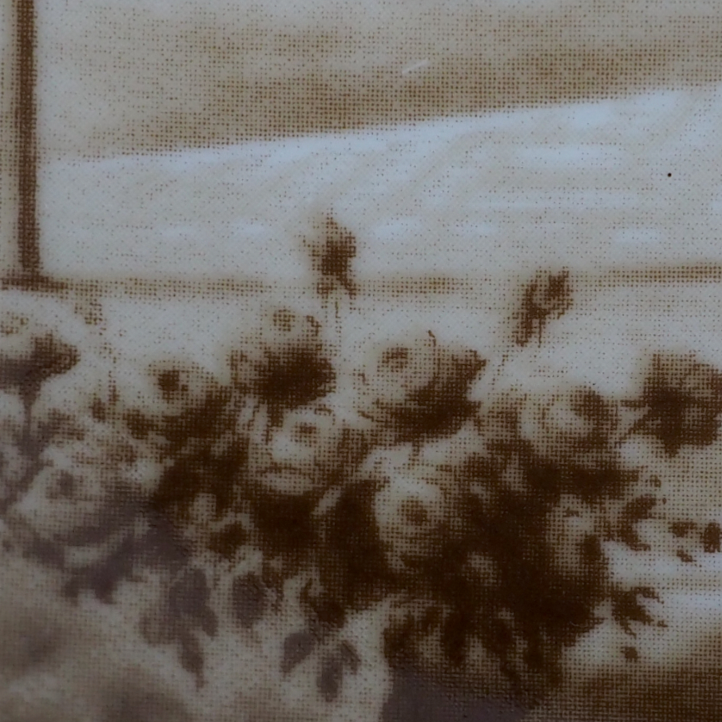 Talerz Kaiser zbliżenie na inskrypcję pamiątkową Pfalzbau Ludwigshafen